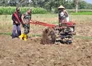 Gerakan Antisipasi Darurat Pangan Nasional, Koramil Besuk Dampingi Petani