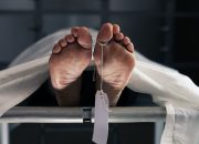 Oknum Brimob Diduga Pukul Siswa hingga Tewas, Publik Soroti Akuntabilitas Polisi